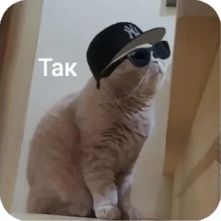 😁 emoji Мої тваринки Telegram sticker 8 of 80