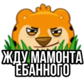 🐈 emoji для важных переговоров @akustina_stickers Telegram sticker 20 of 40