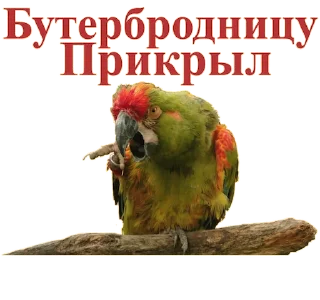 👈 emoji Попуги Дьявола @tvr_book Telegram sticker 19 of 41