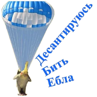 ⚡️ emoji Попуги Дьявола @tvr_book Telegram sticker 16 of 41