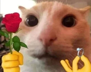 🥰 emoji раша параша Telegram sticker 16 of 107