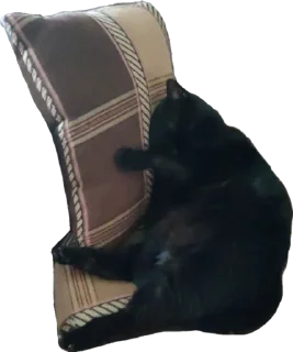 💤 emoji Сладкая булочка <3 Telegram sticker 17 of 42
