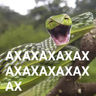 🤣 emoji Lizard s nibiru Telegram sticker 18 of 42