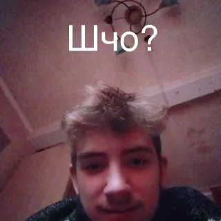 🤔 emoji капібари Telegram sticker 20 of 20