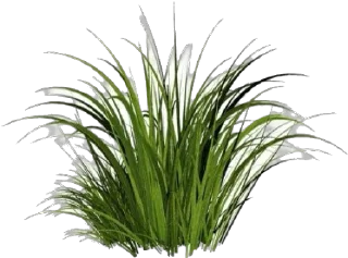 🌿 emoji Эмити топ Telegram sticker 17 of 33