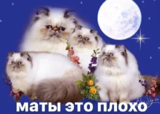 😇 emoji вы приняты в illuminati Telegram sticker 24 of 86