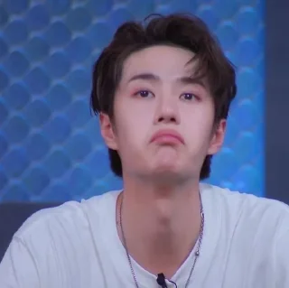 🦁 emoji Wang Yibo Telegram sticker 8 of 51