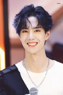 🦁 emoji Wang Yibo Telegram sticker 10 of 51