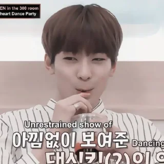 🎂 emoji wonwoo : hb2u ! fr @lomicor 🎂 Telegram sticker 18 of 70