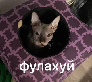 🌟 emoji Глооорст Telegram sticker 11 of 21