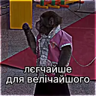 Sticker from all stickers⁸ —> @random_stufff_stickers