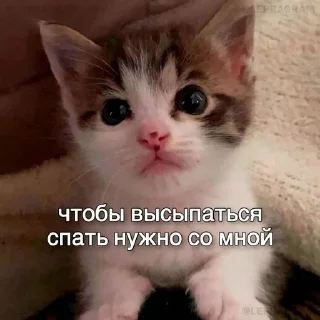 😴 emoji спящий режим Telegram sticker 20 of 64