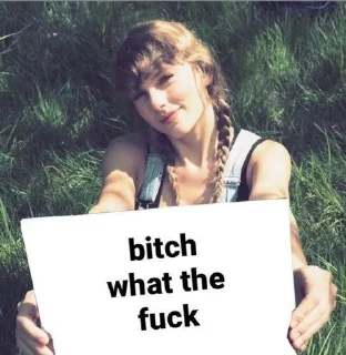 Sticker from swifties main slayer (от @em4il)