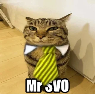 🌟 emoji Mr Svo @void_grip Telegram sticker 7 of 120