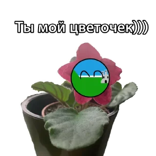 🌸 emoji Вирт страны Telegram sticker 22 of 55