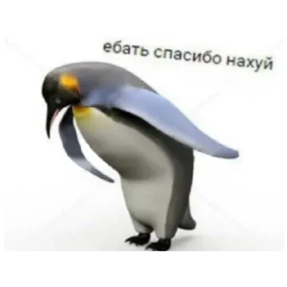 😒 emoji Чурка чей черкаш👿👿👿 Telegram sticker 15 of 60