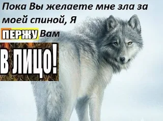 🐺 emoji мудрость валков Telegram sticker 15 of 77