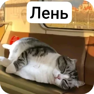 🥱 emoji Что Telegram sticker 6 of 30