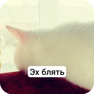 ☹ emoji Что Telegram sticker 8 of 30