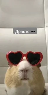 🕶️ emoji Окуляри 🔥 Telegram sticker 1 of 13