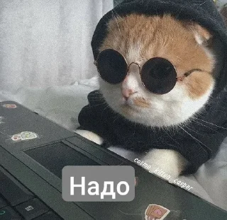 🕶️ emoji Окуляри 🔥 Telegram sticker 10 of 13
