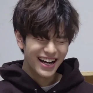 🐶 emoji →Kim Seungmin | @SeungminSKZ Telegram sticker 13 of 48