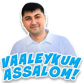 Sticker from @VIGETA - BLOGERLAR UCHUN FOYDALI KANAL!