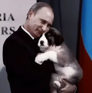 🧊 emoji твой путя. [🧊] Telegram sticker 15 of 16