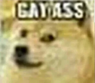 🏳‍🌈 emoji Faggot Hate Telegram sticker 14 of 90