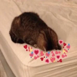 🥰 emoji без понятия Telegram sticker 21 of 33