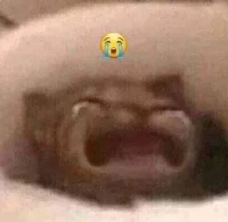 😭 emoji Hyinya ot Tangy 6 Telegram sticker 14 of 120