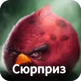 🖼 emoji Сборник хуйни и птички Telegram sticker 16 of 117
