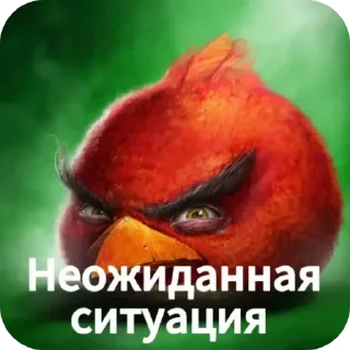 🖼 emoji Сборник хуйни и птички Telegram sticker 1 of 117