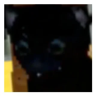 😾 emoji Шелли Шлюхинс Telegram sticker 1 of 17