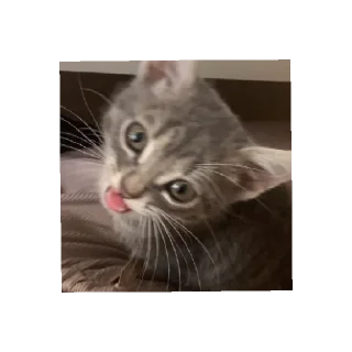 😄 emoji Это капец Telegram sticker 11 of 47