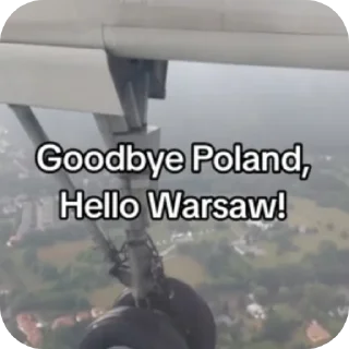 🤪 emoji Polski TikTok 🇵🇱 Telegram sticker 19 of 21