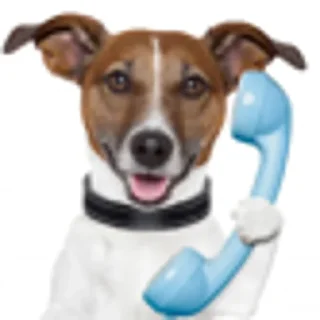 🥹 emoji Смешные Акакии Telegram sticker 7 of 29