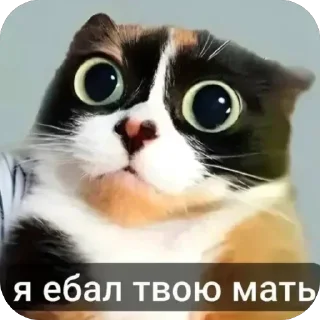 🤩 emoji Крч часть 6 Telegram sticker 21 of 53