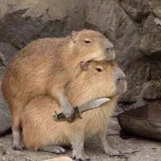 ❤️ emoji capibara Telegram sticker 11 of 58