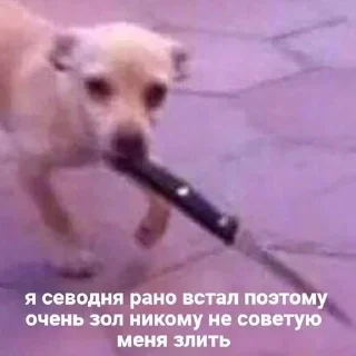 😡 emoji макжиза Telegram sticker 7 of 21