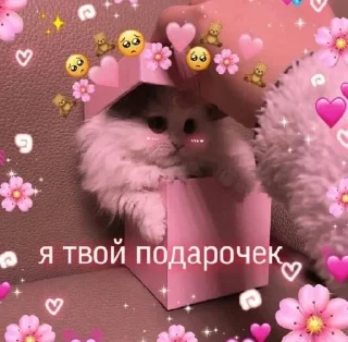 😘 emoji ~Cute puk🦋~ Telegram sticker 18 of 100