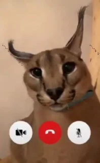☎️ emoji Ебло Telegram sticker 13 of 108