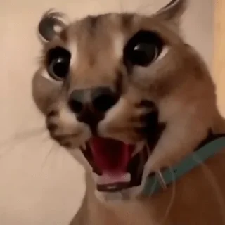 😮 emoji Ебло Telegram sticker 11 of 108