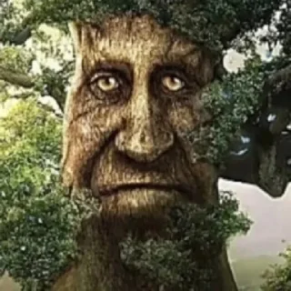 🙁 emoji Wise Mystical Tree Telegram sticker 13 of 31