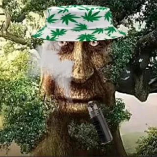 🤡 emoji Wise Mystical Tree Telegram sticker 19 of 31