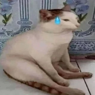 😓 emoji мь Telegram sticker 14 of 47