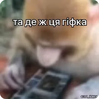 Sticker from Мої мавпочки п'ять @Packek @zroz_monkey
