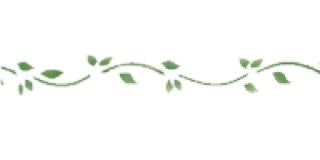 🍵 emoji ꕮ៹ green separators  🎐 @hekanai Telegram sticker 24 of 35