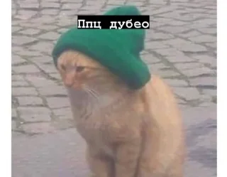 🌟 emoji Місса ідішин<3 Telegram sticker 4 of 120