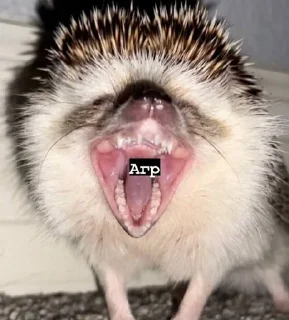🌟 emoji Місса ідішин<3 Telegram sticker 13 of 120